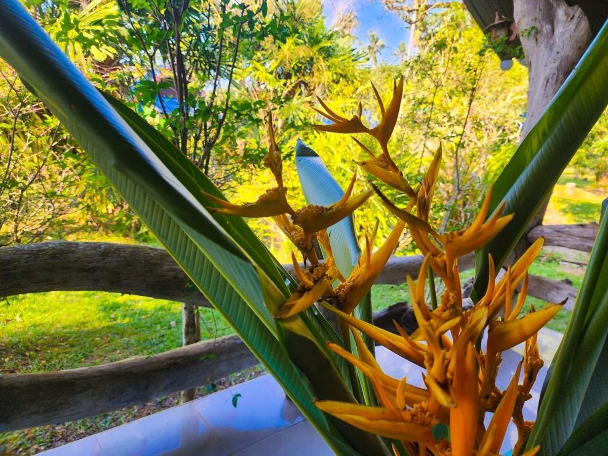 Banmae Resort Kohchang เกาะช้าง ภายนอก รูปภาพ